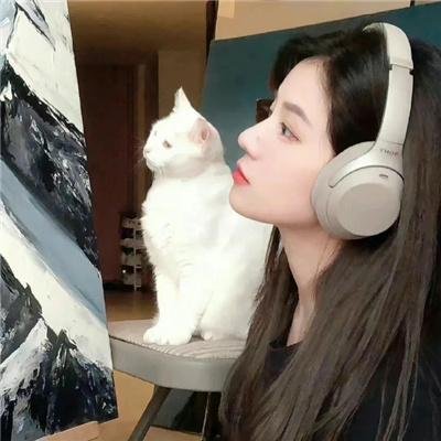 行人徒步区